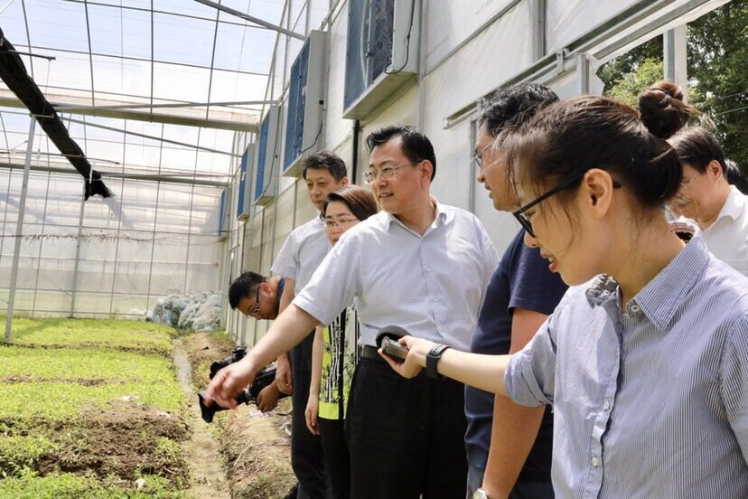 新闻综合广播记者徐湘秀跟随裘东耀市长检查指导抗台工作.jpg