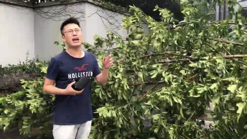 交通广播记者娄邵明在市区被台风折断的树木旁连线.jpg