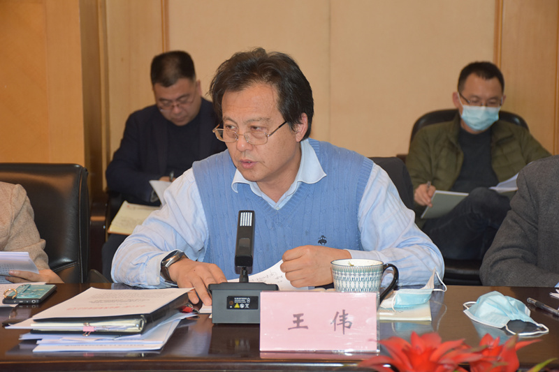 王伟副总编辑发言.JPG