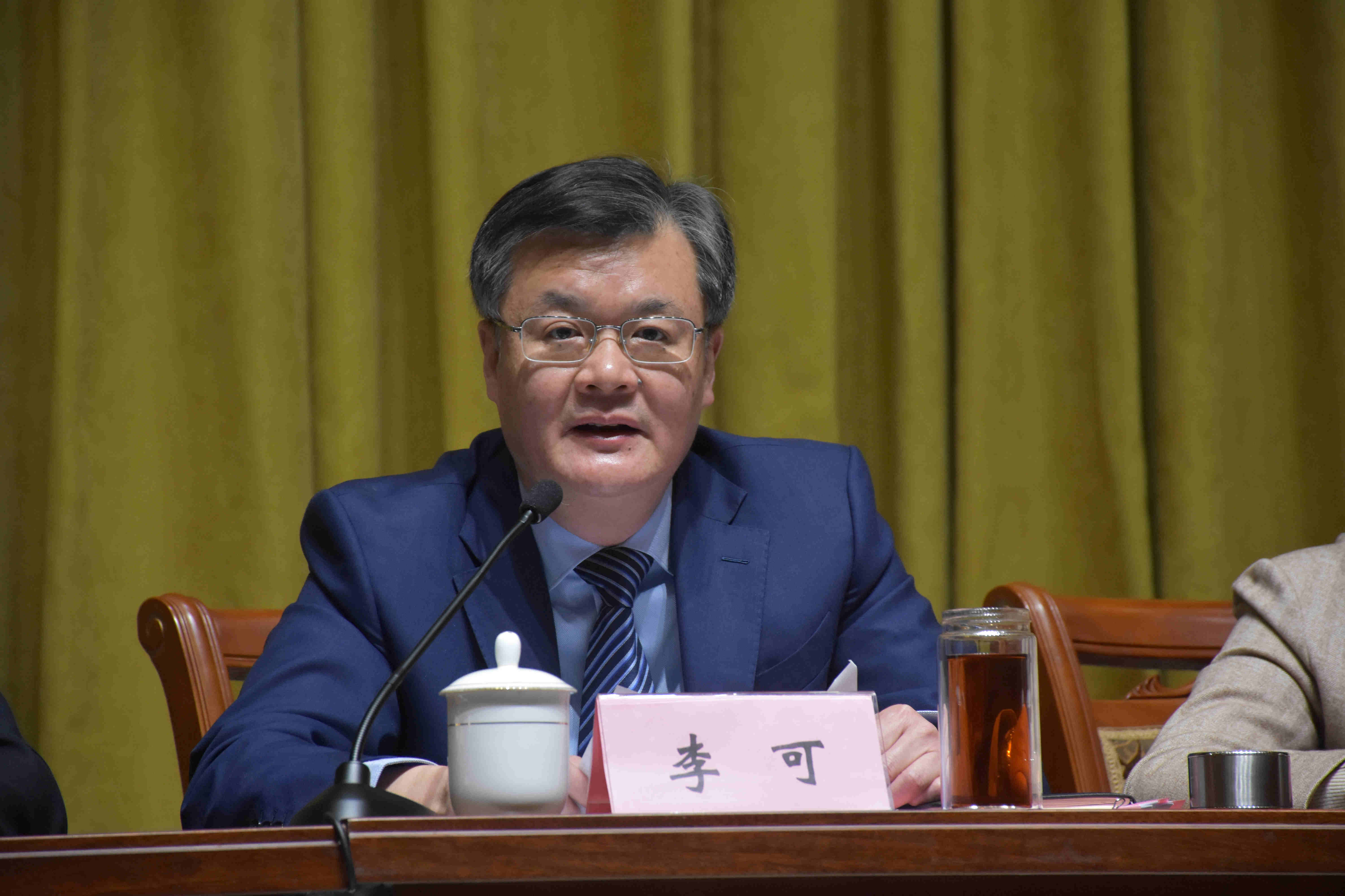 李总讲话.JPG