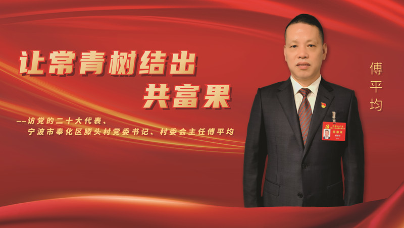 傅平均代表访谈海报.jpg