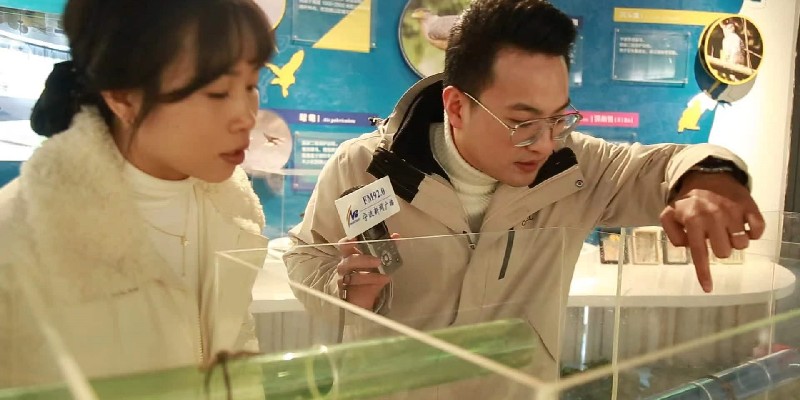 宁波台记者蒋博在海曙区龙观生物多样性友好体验馆内，与馆长朱桂飞观察珍稀动物标本。_副本.jpg