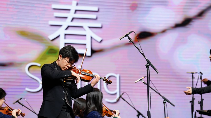 小提琴独奏.JPG
