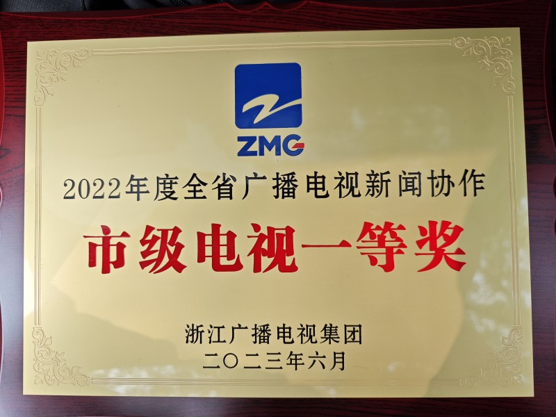 电视外宣一等奖.jpg