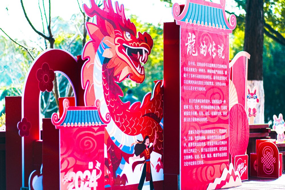 龙的传说展板.jpg