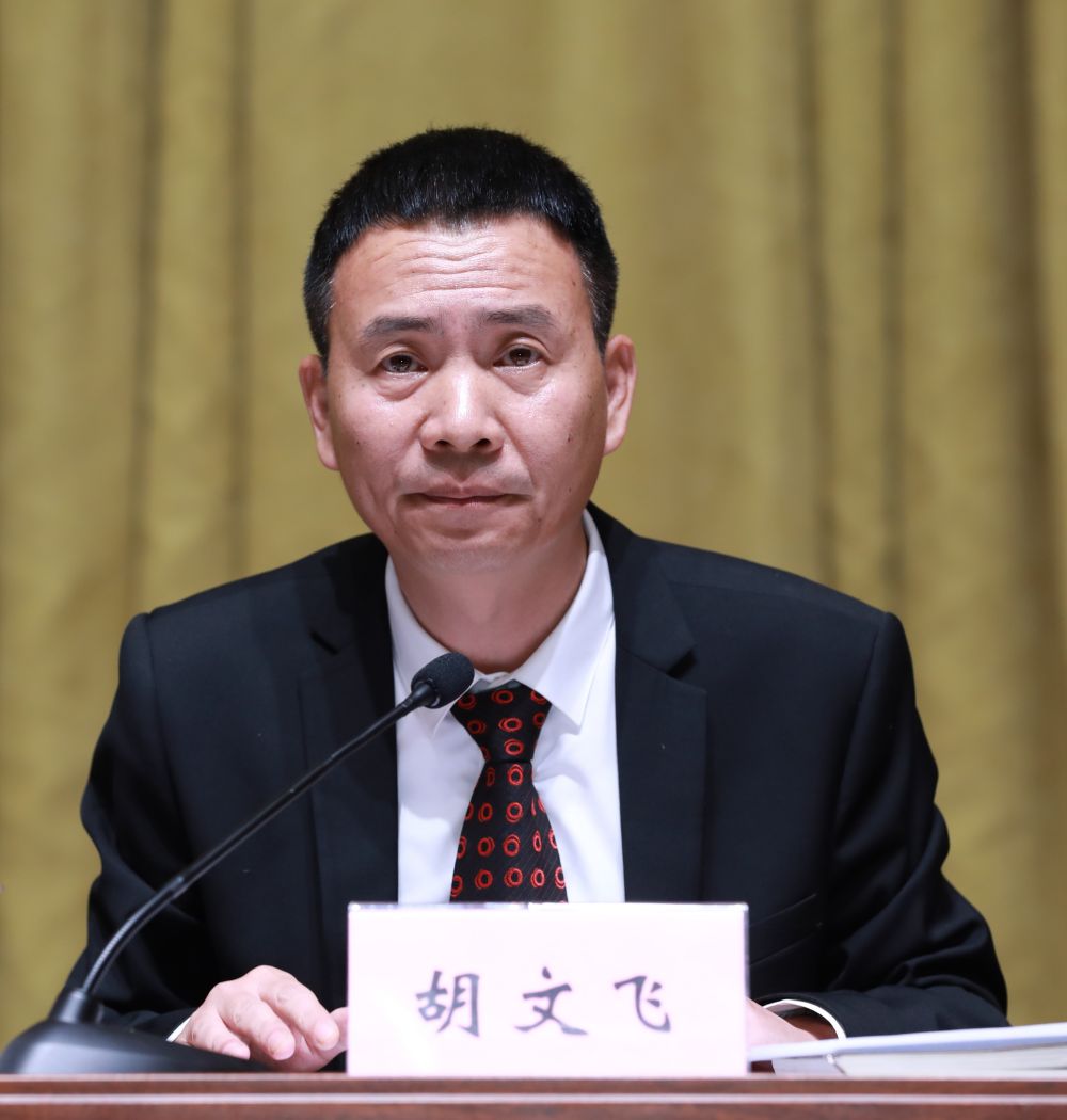 胡文飞总编辑.jpg